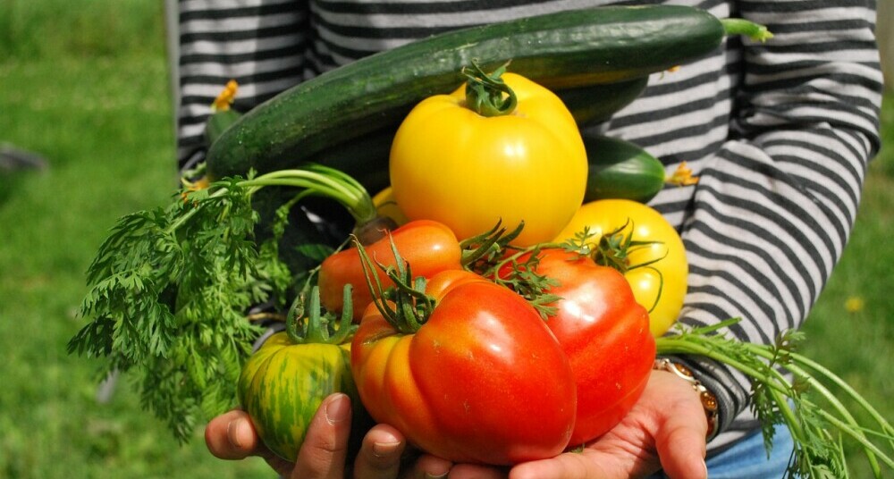 Nutritional Benefits Of Different Vegetables